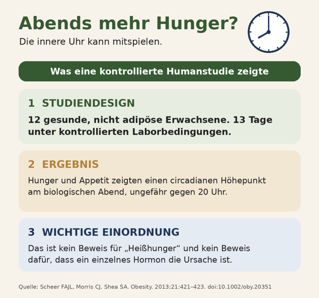 Infografik zu abendlichem Hunger: Die innere Uhr kann beeinflussen, wann Hunger und Appetit am Abend stärker wahrgenommen werden.